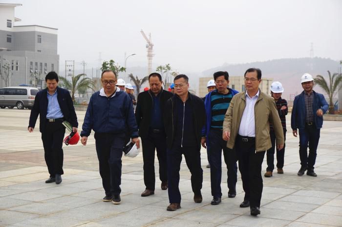 5.吴锡熹一行在项目落成区进行实地观察。谢微旋 摄700.jpg