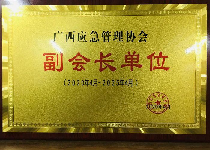 副会长单元牌匾。覃洪浩摄.jpg